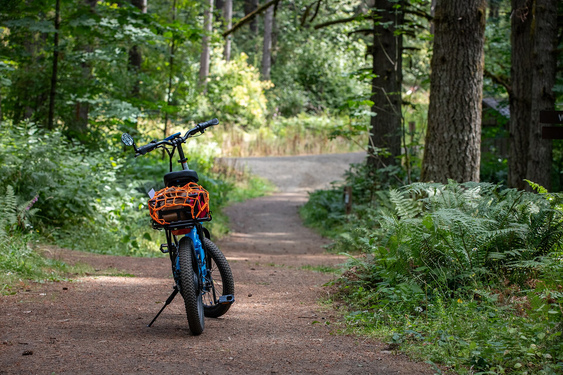 Folding eBike on Forest Trail (53104774326)