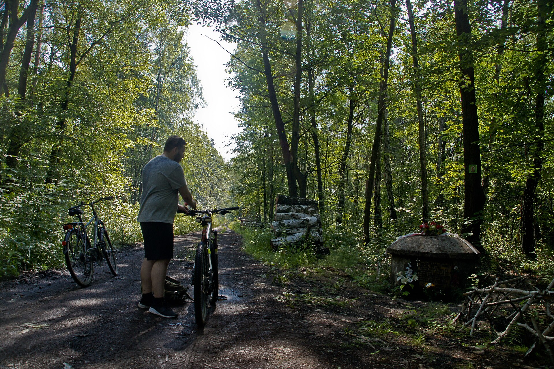 Szlak Rowerowy Lasu Zagorskiego Sosnowiec